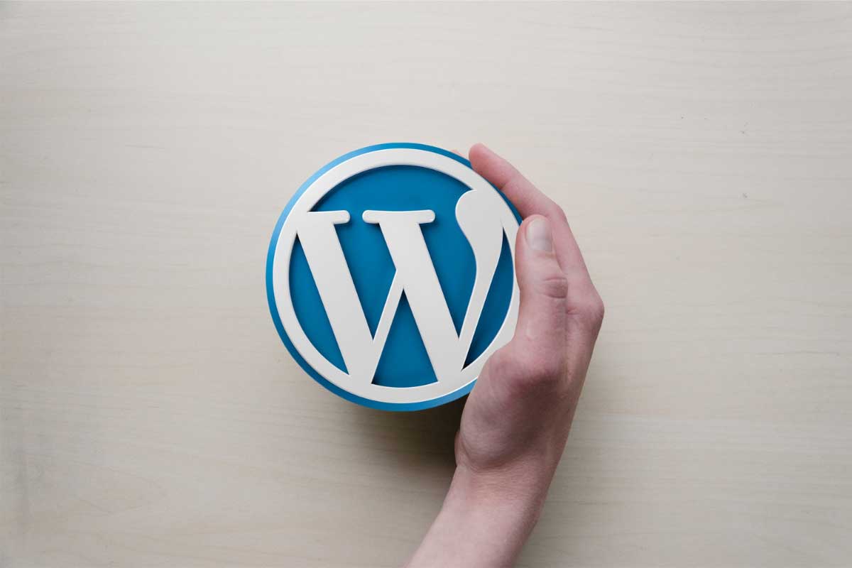 Wordpress training