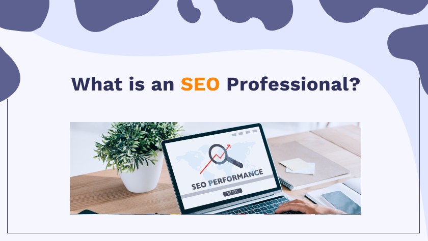 What is an SEO Professional