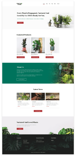 A website design for a flower shop.