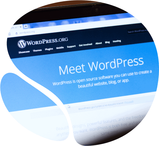 WordPress websites image