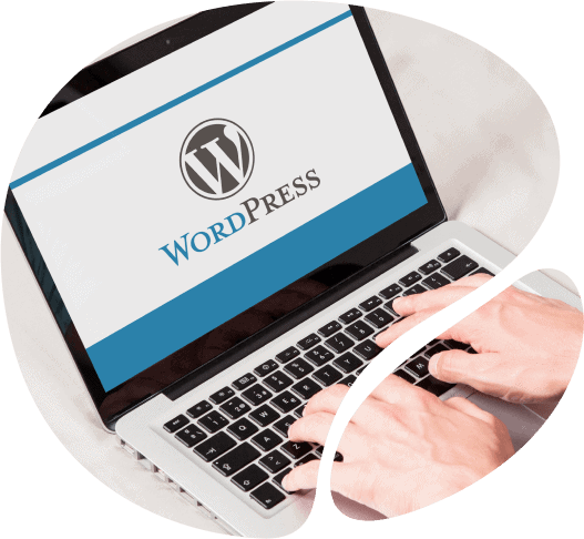 WordPress website background on laptop