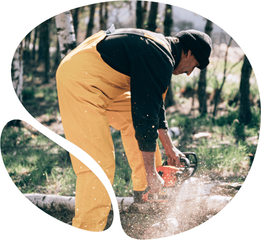 tradies website cutting tree with chainsaw